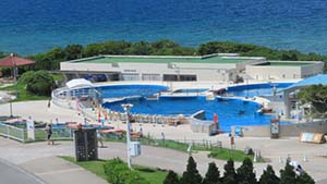 �N���b�N���Ċg��