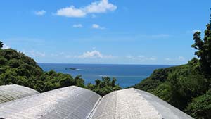 �N���b�N���Ċg��