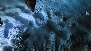 �N���b�N���Ċg��