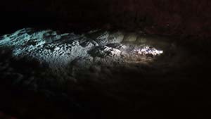 �N���b�N���Ċg��