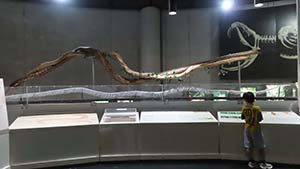 �N���b�N���Ċg��