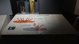 �N���b�N���Ċg��