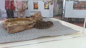 �N���b�N���Ċg��