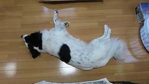 �N���b�N���Ċg��