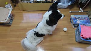 �N���b�N���Ċg��