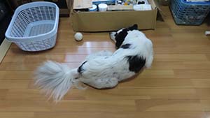 �N���b�N���Ċg��