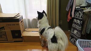 �N���b�N���Ċg��