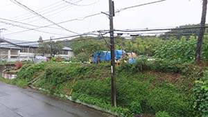 �N���b�N���Ċg��