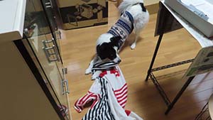 �N���b�N���Ċg��