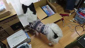 �N���b�N���Ċg��