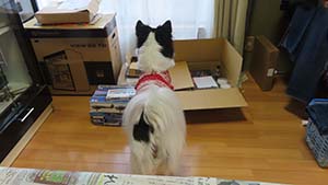 �N���b�N���Ċg��