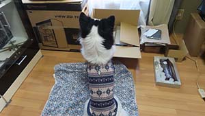 �N���b�N���Ċg��