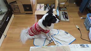 �N���b�N���Ċg��