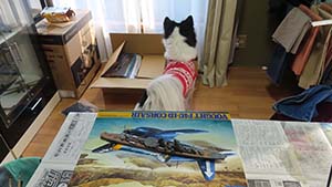 �N���b�N���Ċg��